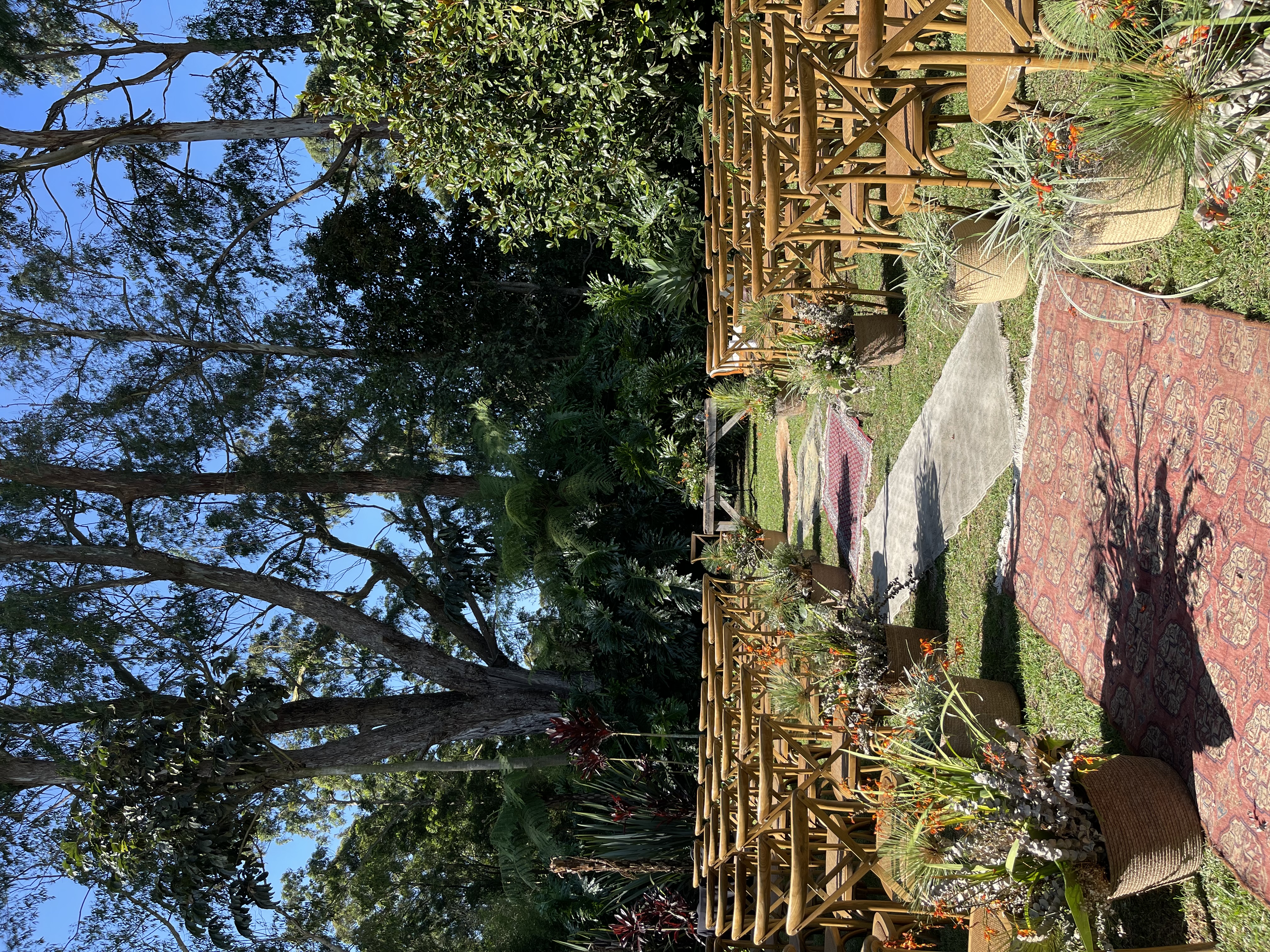 Jardín magnolio