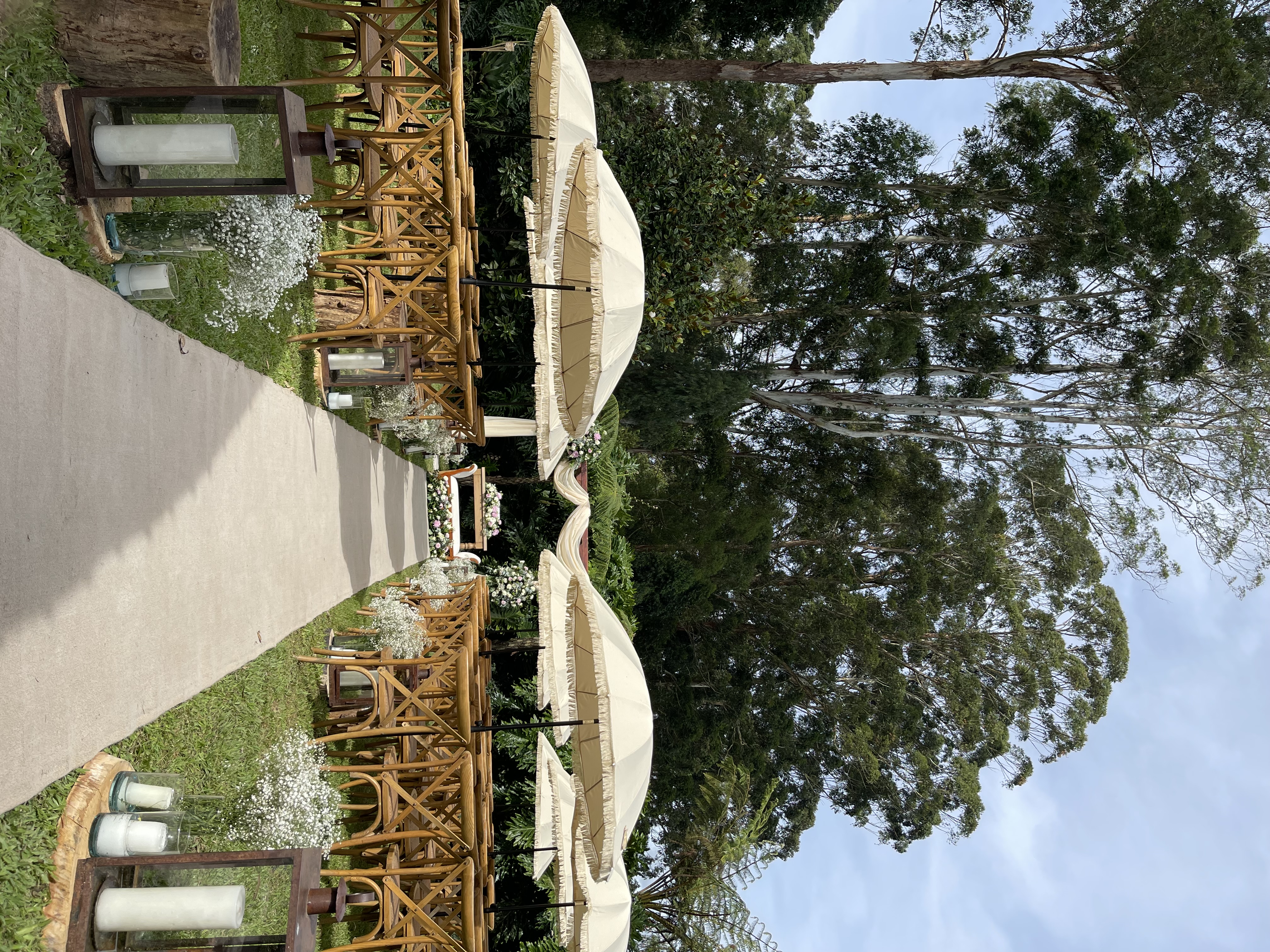 Jardín magnolio foto 2